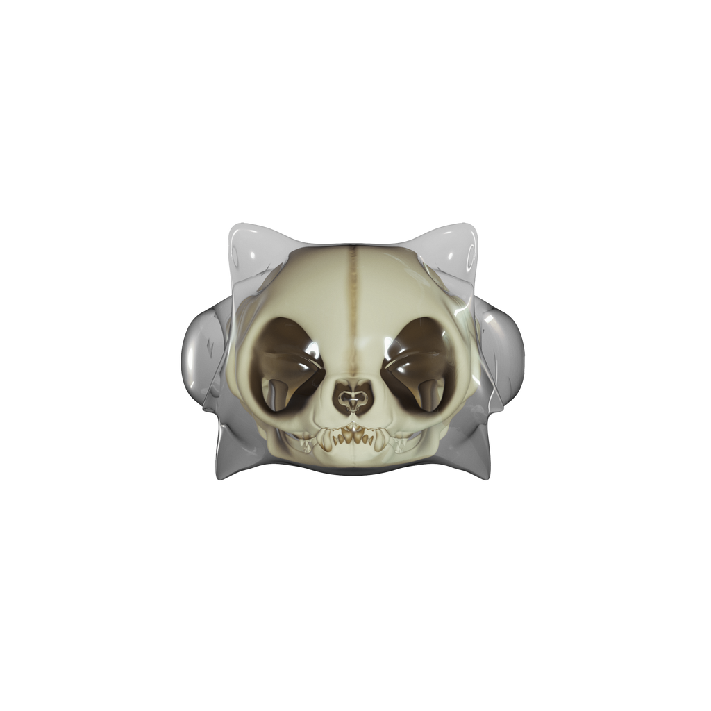 Māomento Mori Ring