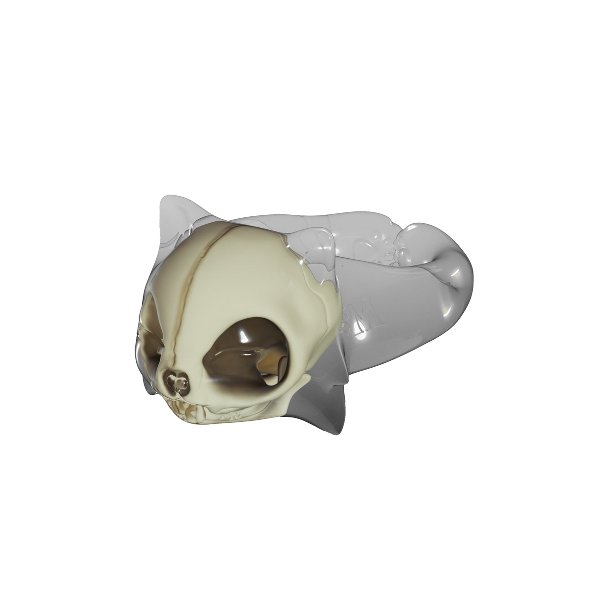 Māomento Mori Ring